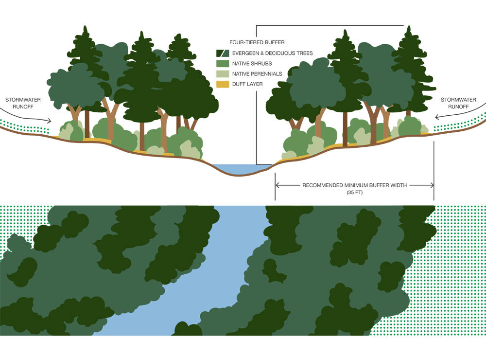 Buffer Layer: What It Means, How It Works